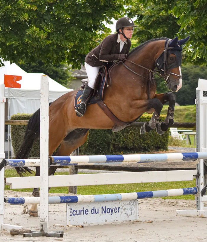 Cours d'équitation à Larçay